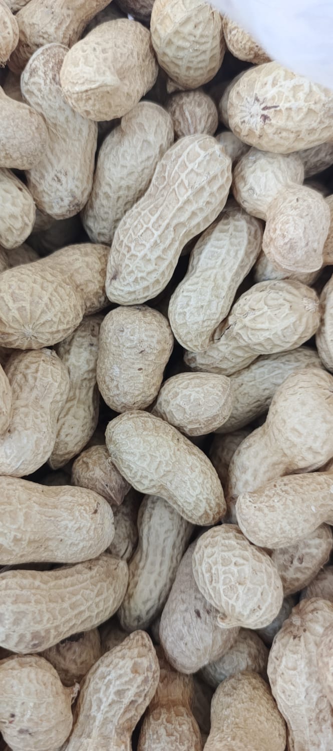 Арахіс в лушпинні Китай