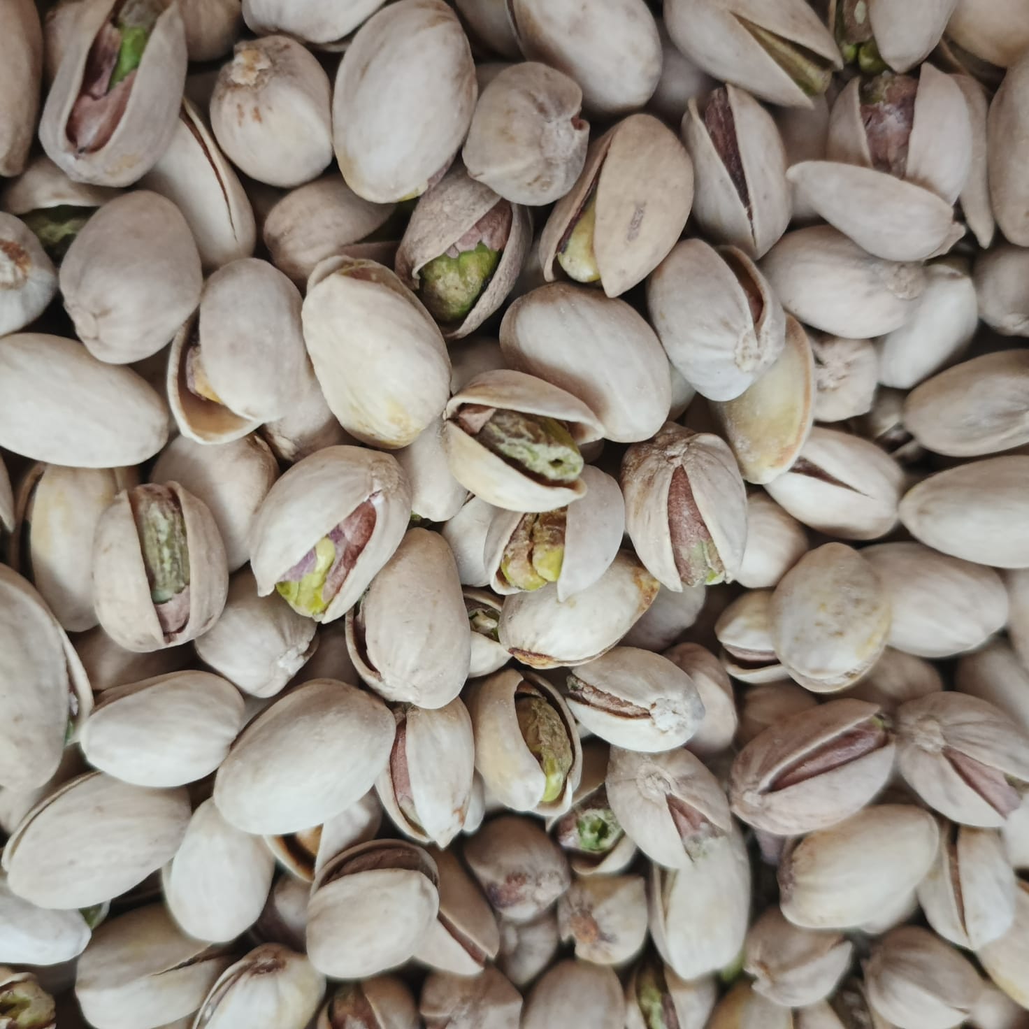 Фісташка Каліфорнія