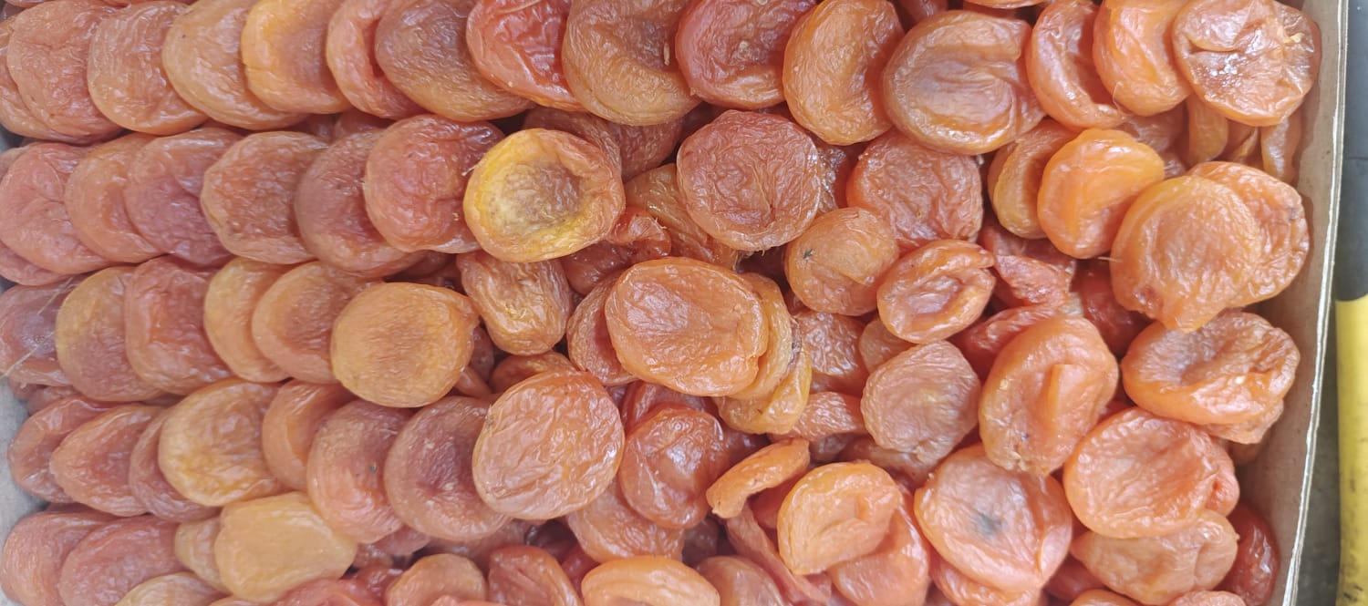 Курага Узбекистан