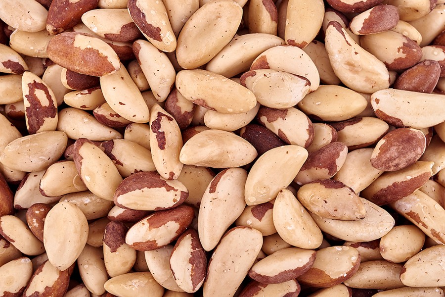 Бразильський горіх