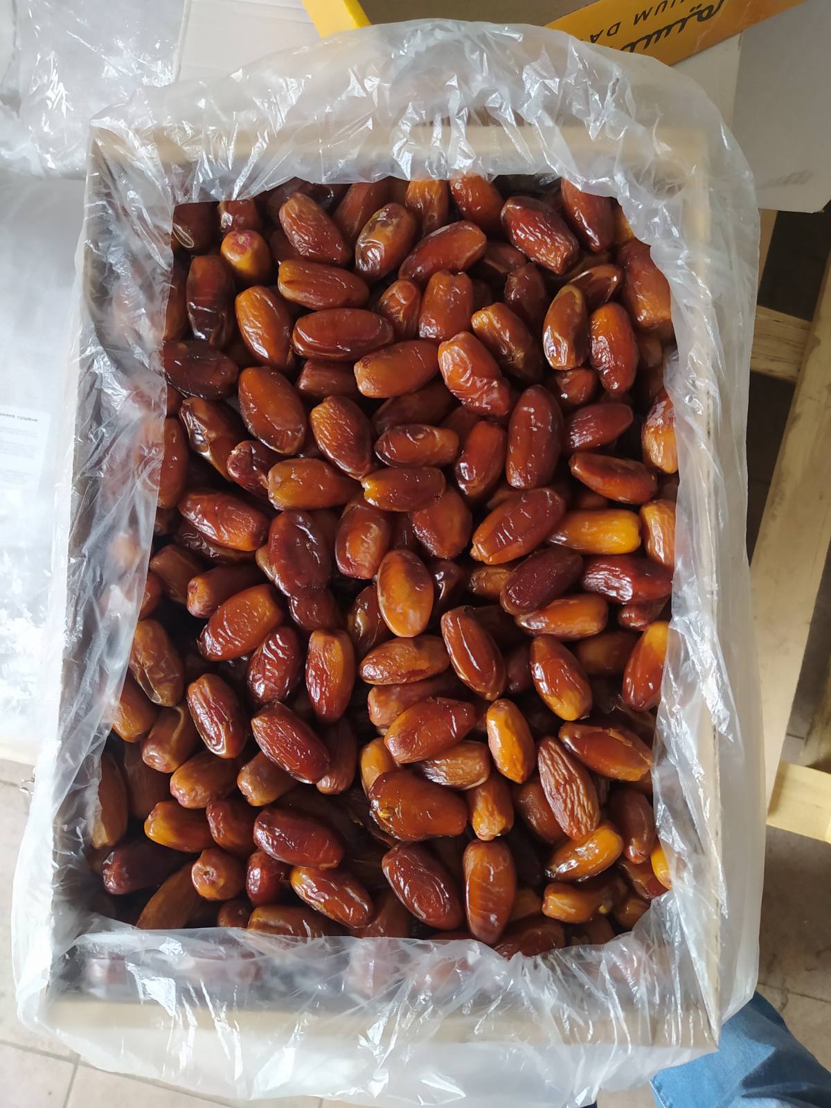 Фінік Алжир ваговий