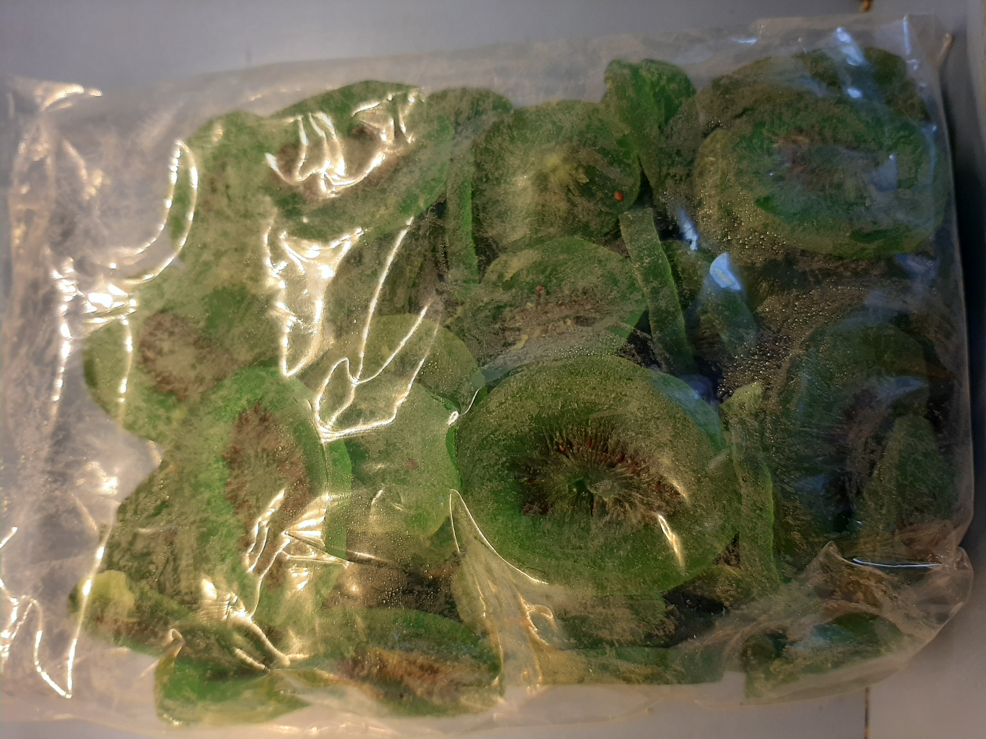 Ківі в’ялене