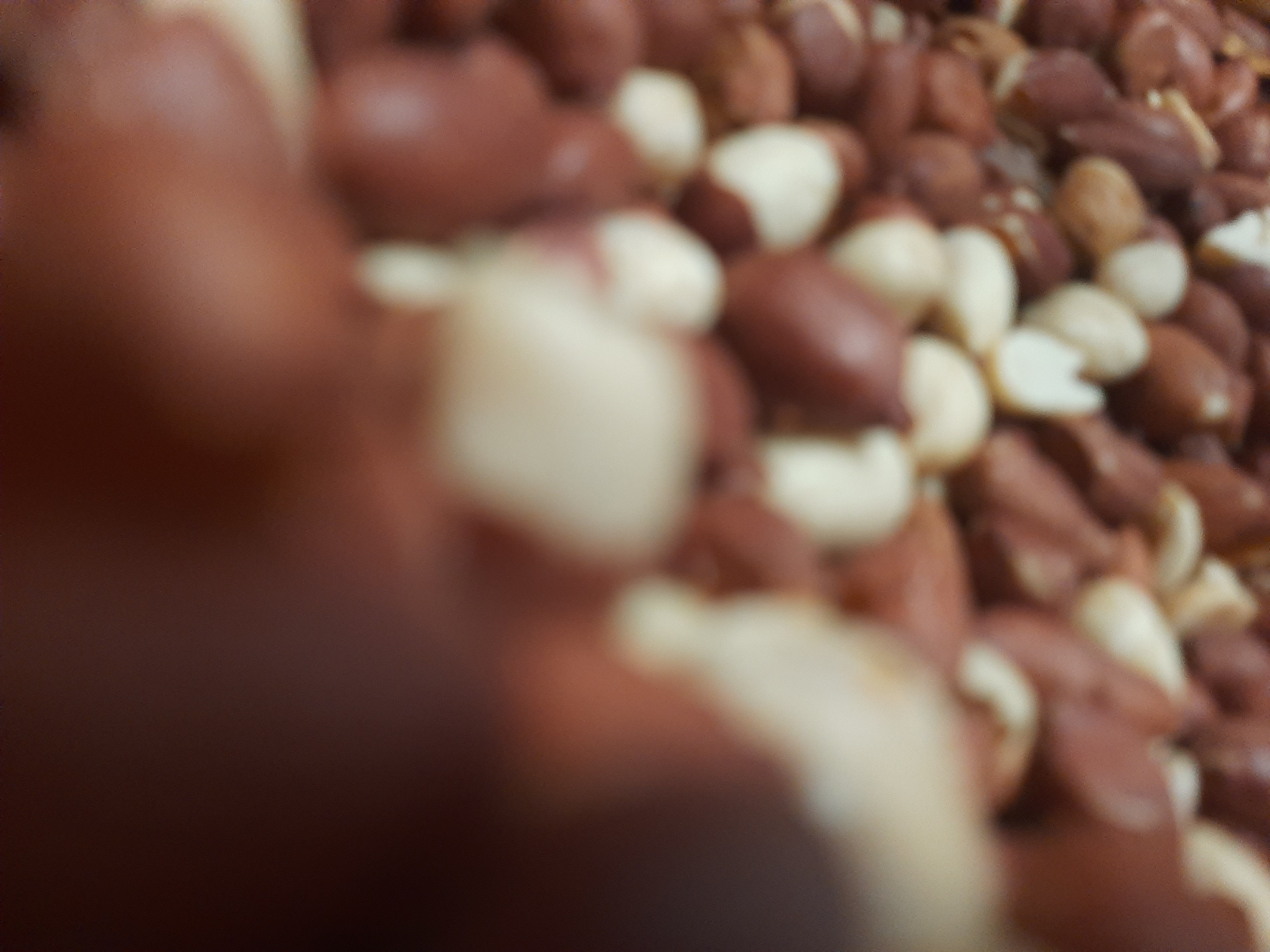 Арахіс Болд смажений