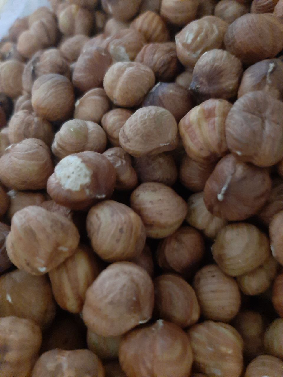 Фундук сушений