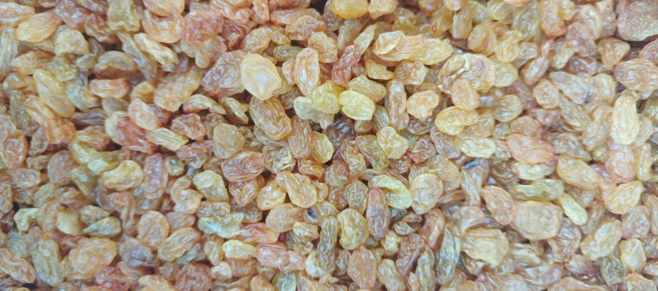 Родзинка золота Узбекистан