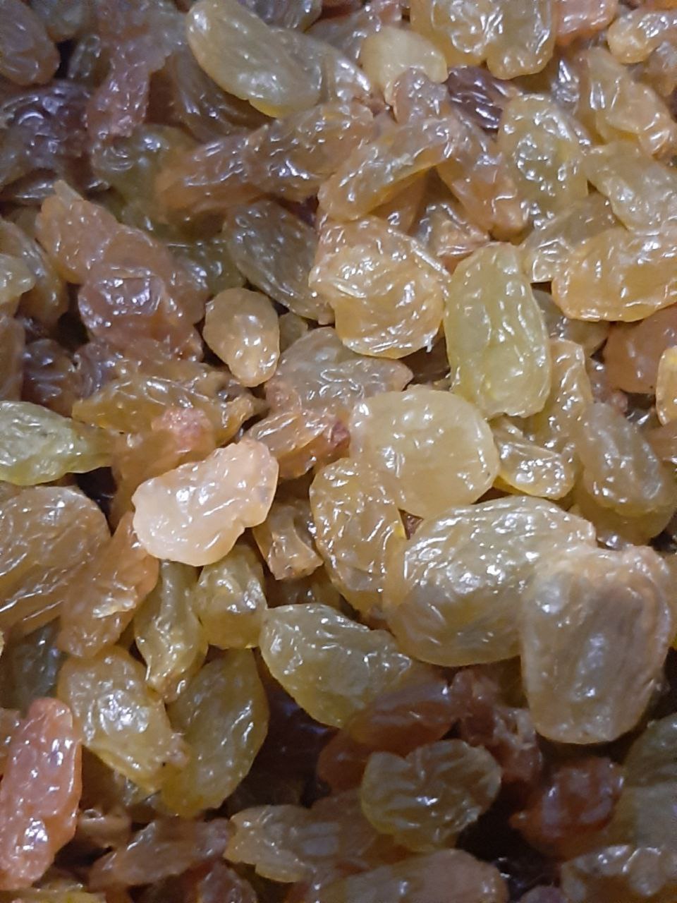 Родзика Джамбо Голд