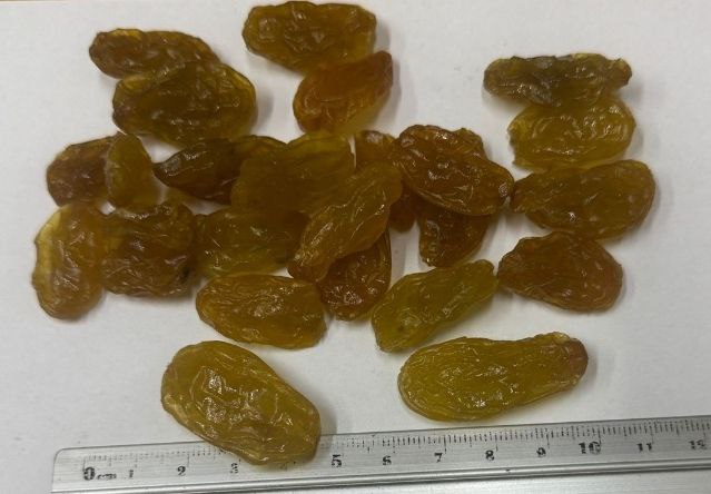 Родзика Джамбо Голд