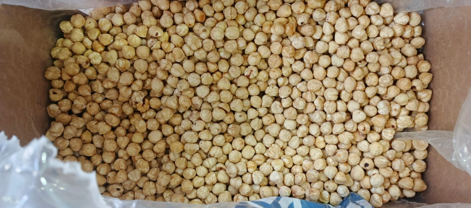 Фундук бланширований 