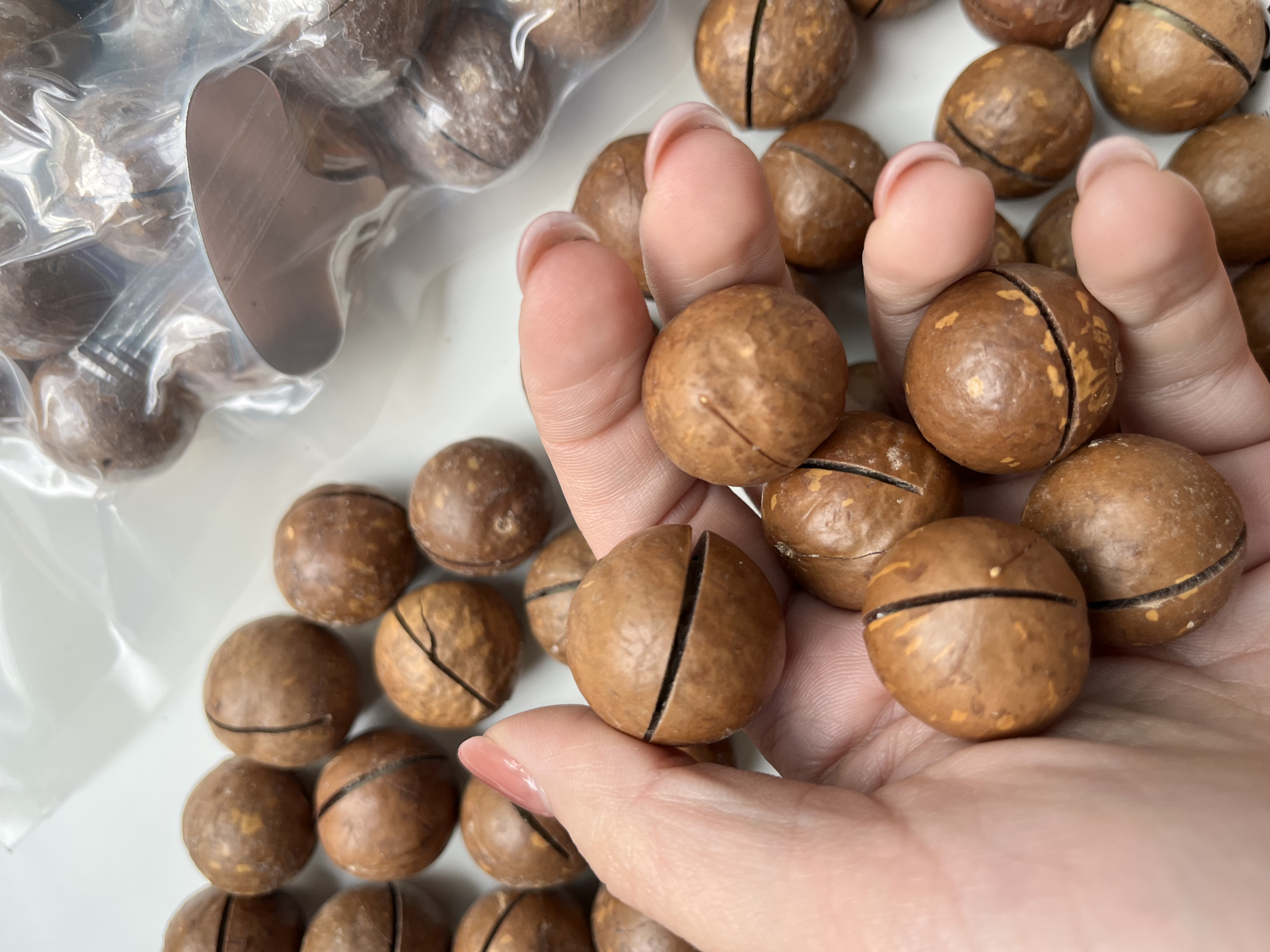 Макадамія в шкарлупі 500грам