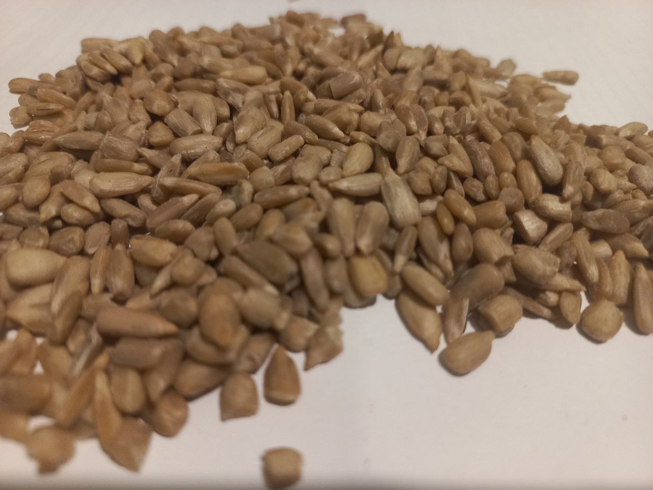 Ядро соняшника. Україна